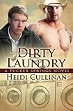 Dirty Laundry: A Tucker Springs Novel Dirty Laundry: A Tucker Springs Novel