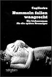 Hummeln fallen waagrecht - Ein Liebesroman für die späten Neunziger Hummeln fallen waagrecht - Ein Liebesroman für die späten Neunziger